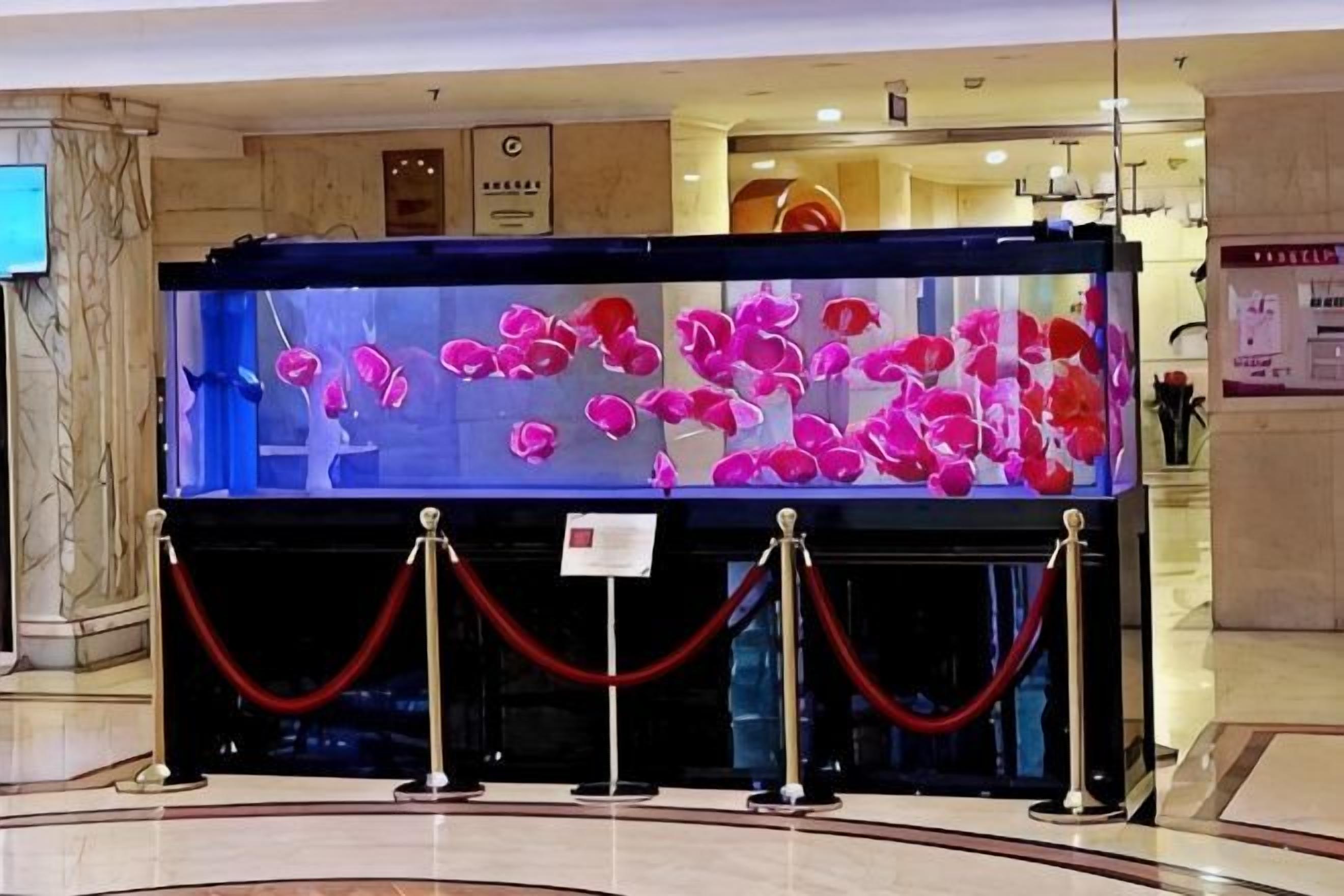Ein großes Aquarium mit rosa Fischen, umgeben von einer roten Absperrschranke, in einem Eingangsbereich mit Marmorboden und einer Rezeption.