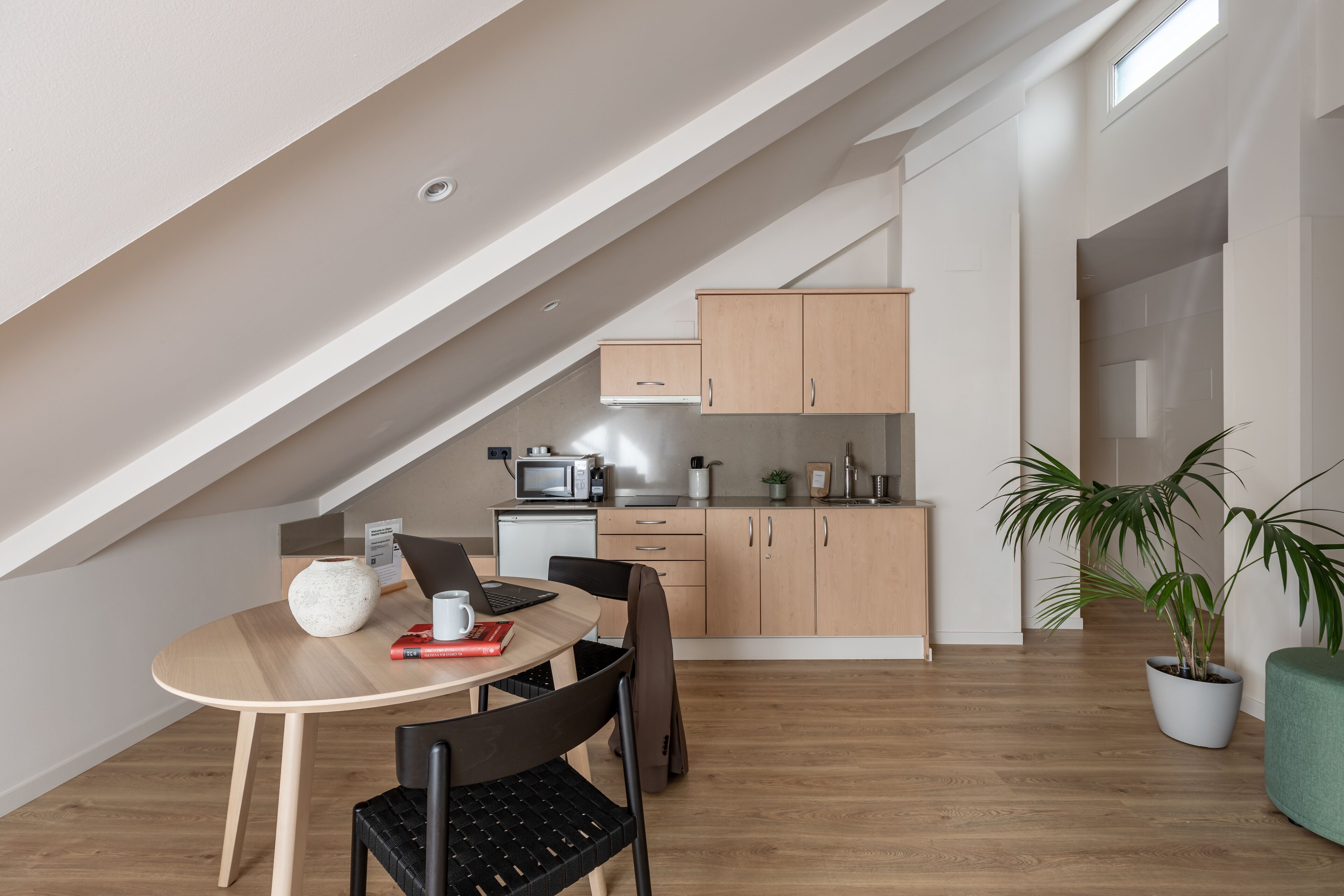 apartment, 1 bedroom | private kitchen | fridge, microwave, stovetop, electric kettle