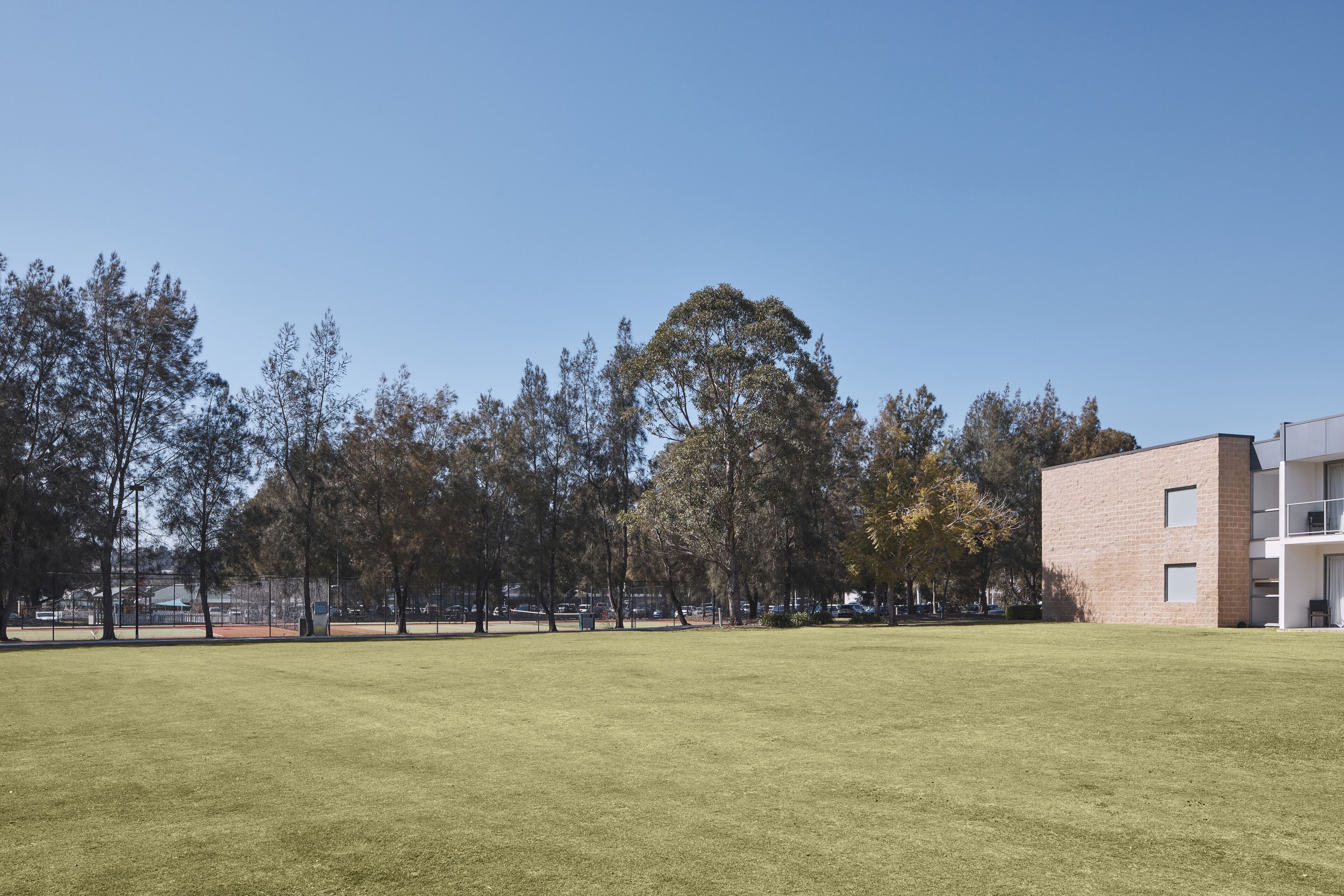 A grassy field with trees and a modern building.