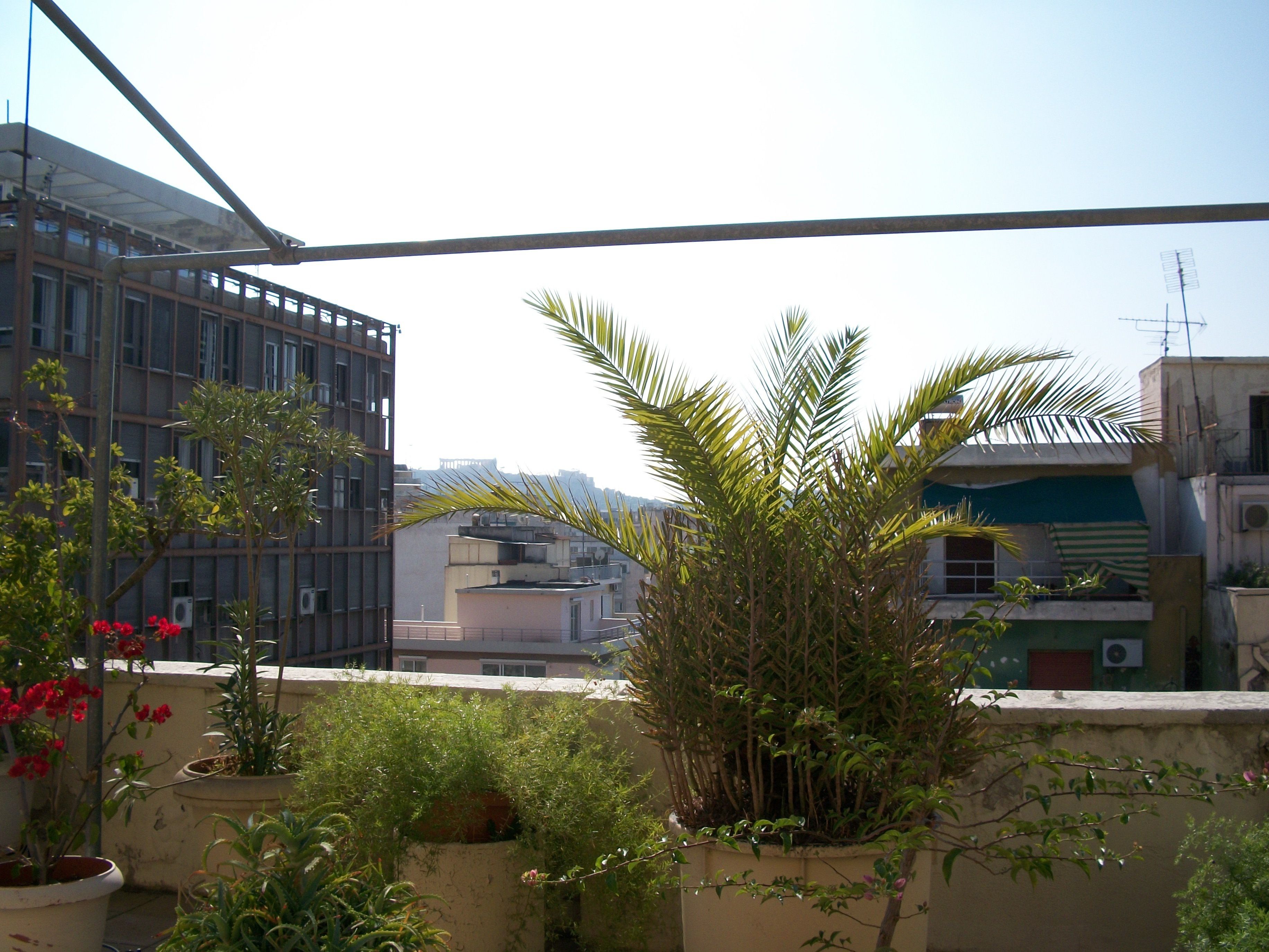 Foto - Minoa Athens Hotel