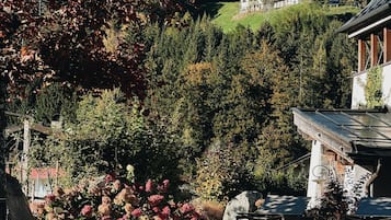 Indoor pool, outdoor pool, pool umbrellas