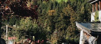 Der Löwe - LEBE FREI