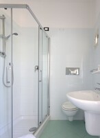 Ducha, cabezal de ducha tipo lluvia, secador de pelo, toallas