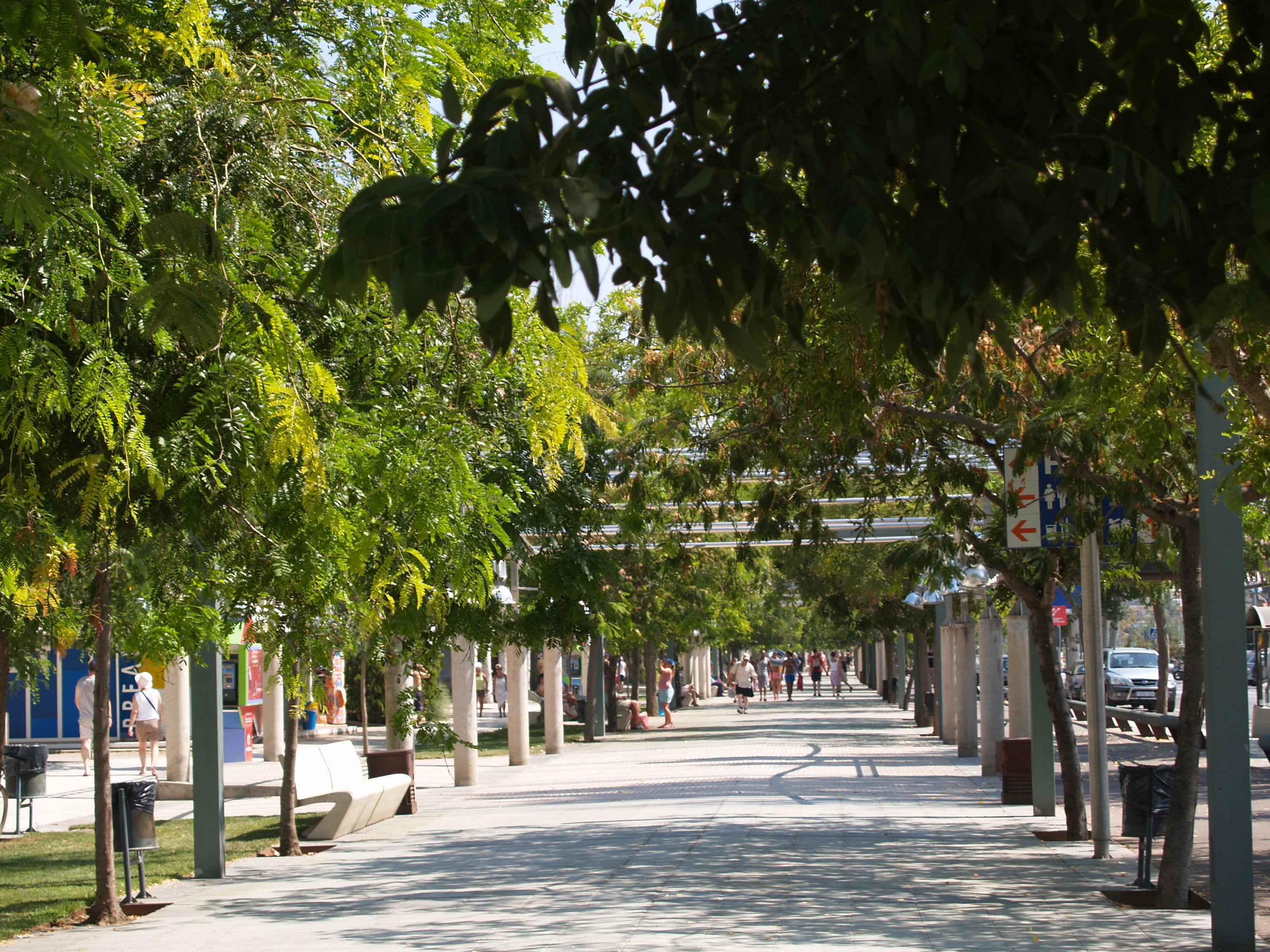 Foto - Hotel Montemar Maritim