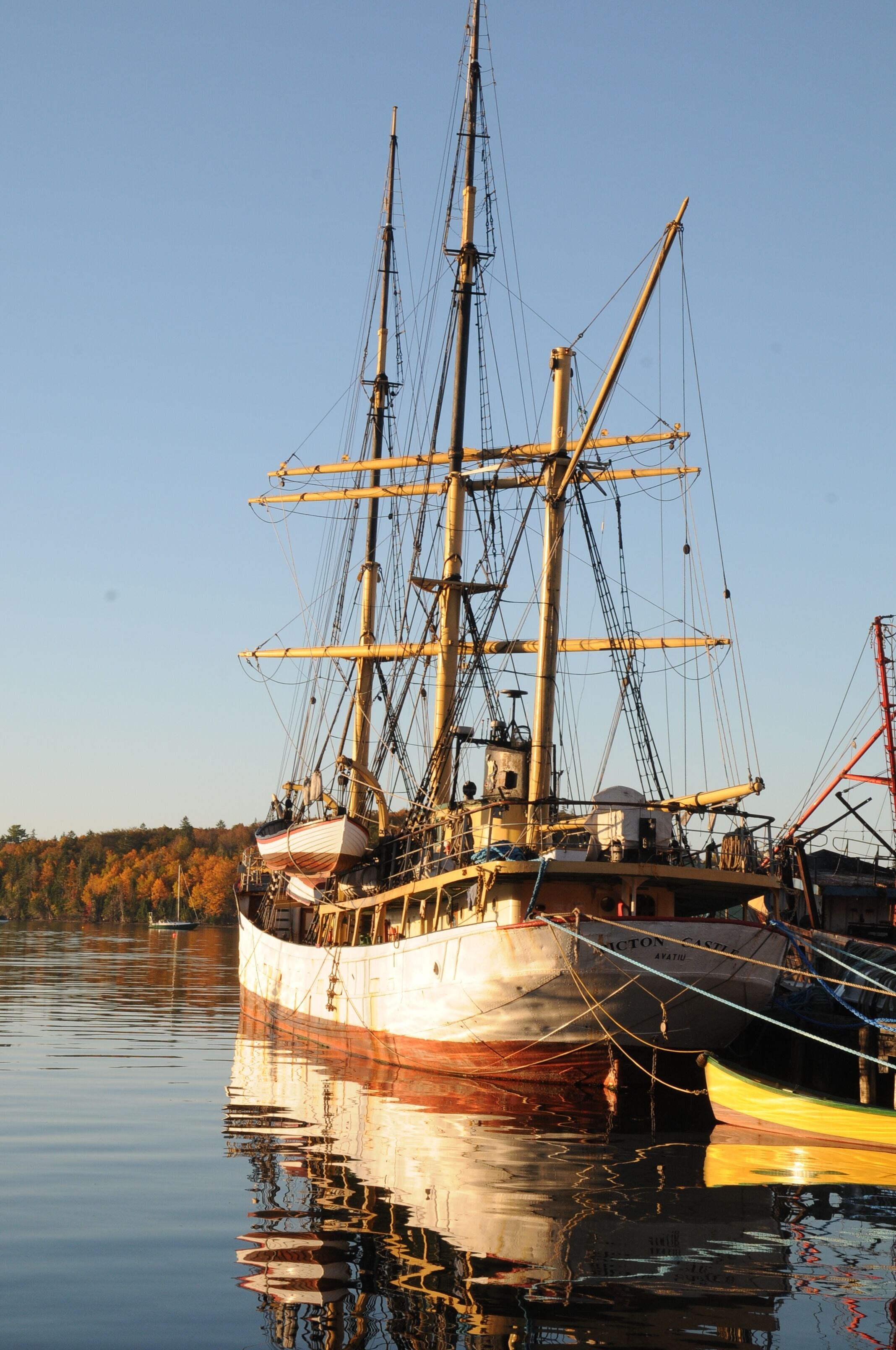 premier room, 1 king bed, harbour view | view from property