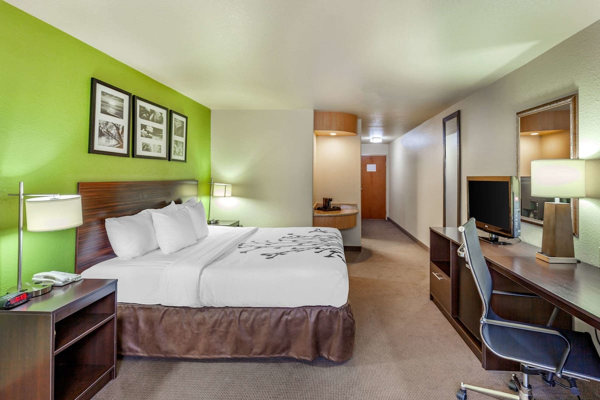 A hotel room with a bed, desk, chair, and a television.