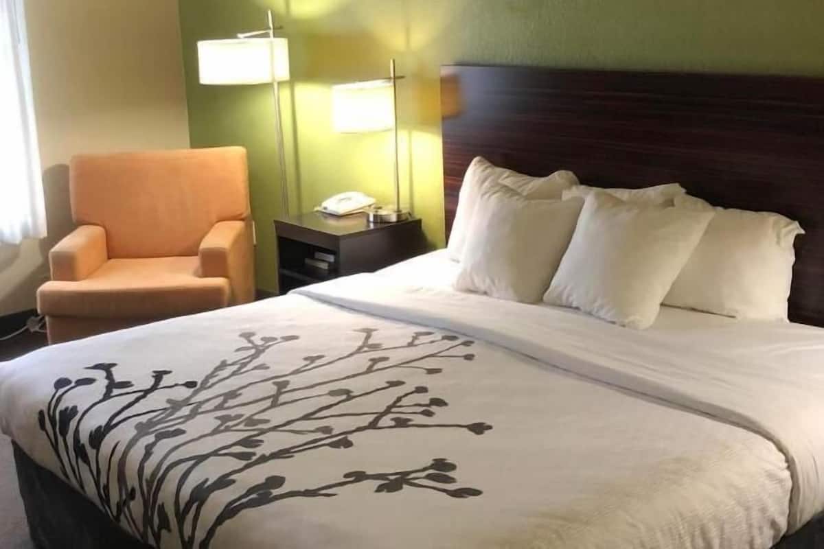 A hotel room with a bed, a chair, a nightstand, and a lamp.