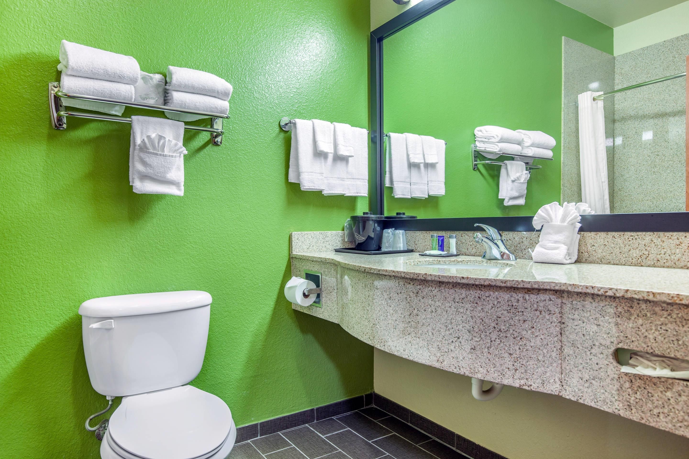 Un baño con pared verde, inodoro blanco, lavamanos con espejo y varios toalleros.