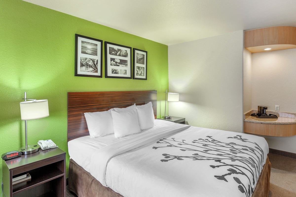 A hotel room with a bed, a nightstand with a lamp, a phone, and framed pictures on the wall.