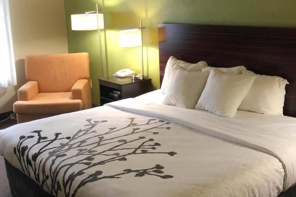 A hotel room with a bed, a chair, a nightstand, and a lamp.