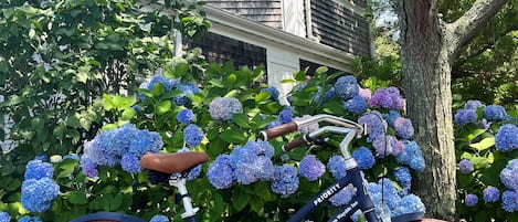 A bicycle parked in front of a house with a porch and a tree.