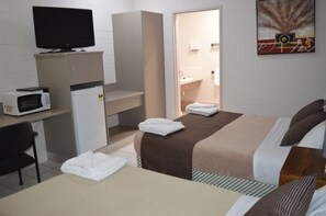 Deluxe Twin Room | Desk, soundproofing, iron/ironing board, free WiFi