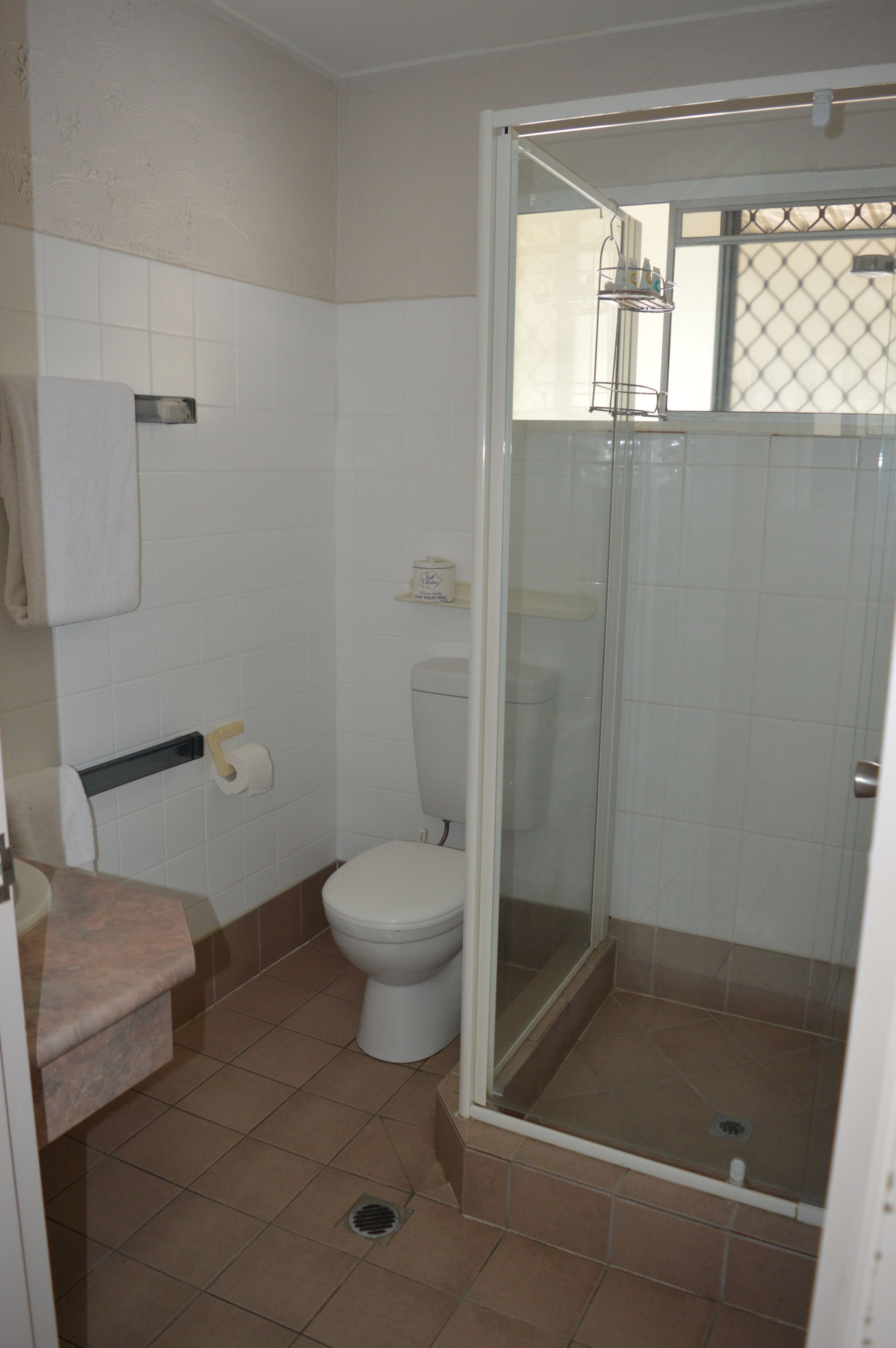 Ein Badezimmer mit Toilette, einer Dusche mit Glastür und einem Handtuchhalter.