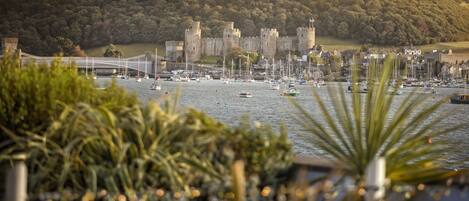 A coastal town with a historic castle, marina with boats, and lush greenery.