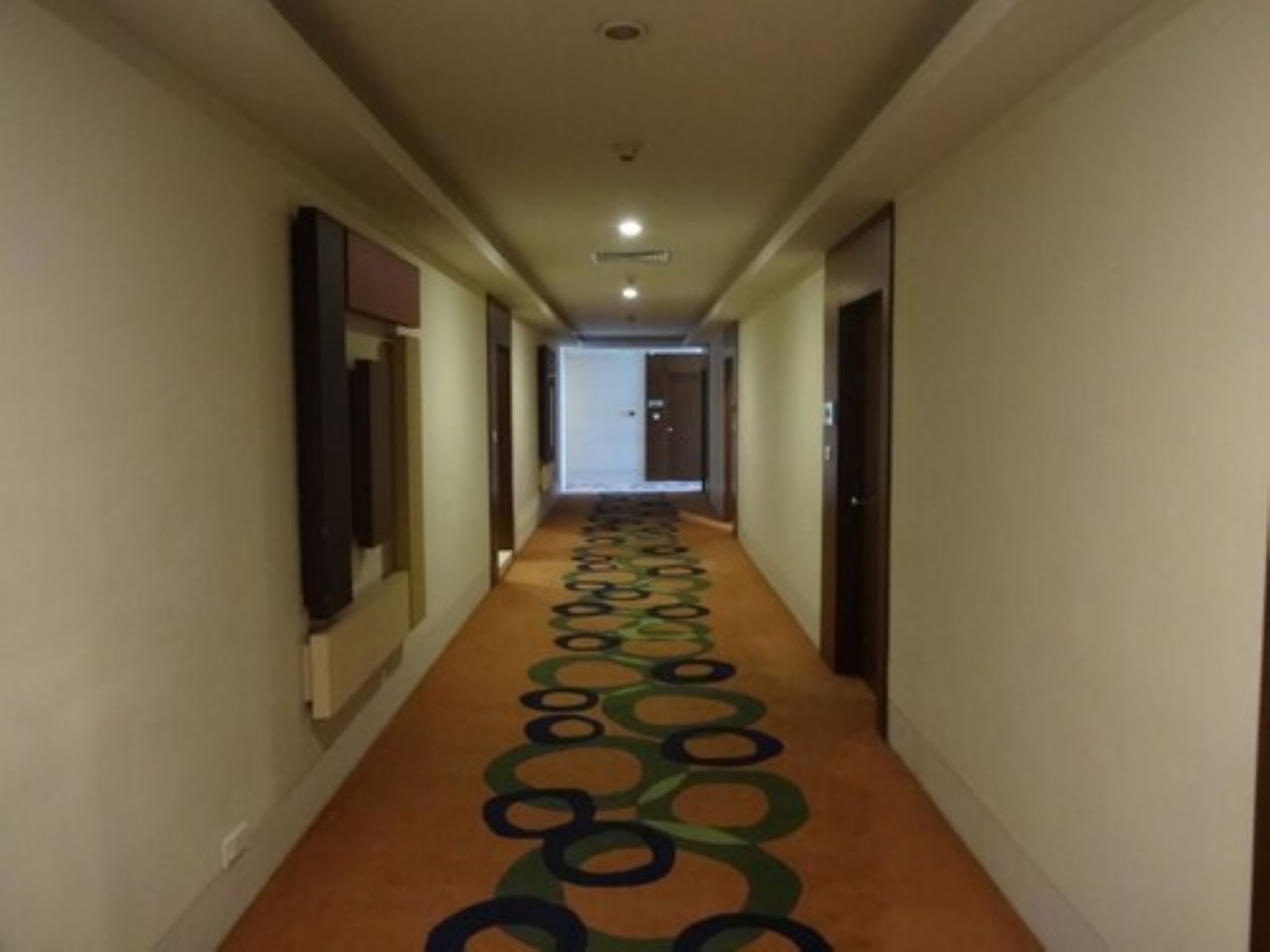 A hallway with a patterned carpet, doors on both sides, and a light fixture on the ceiling.