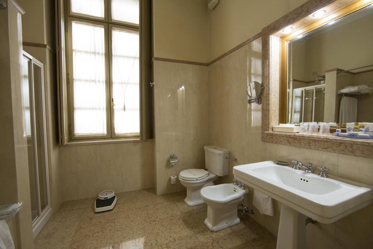 separate bathtub and shower, free toiletries, hair dryer, bidet