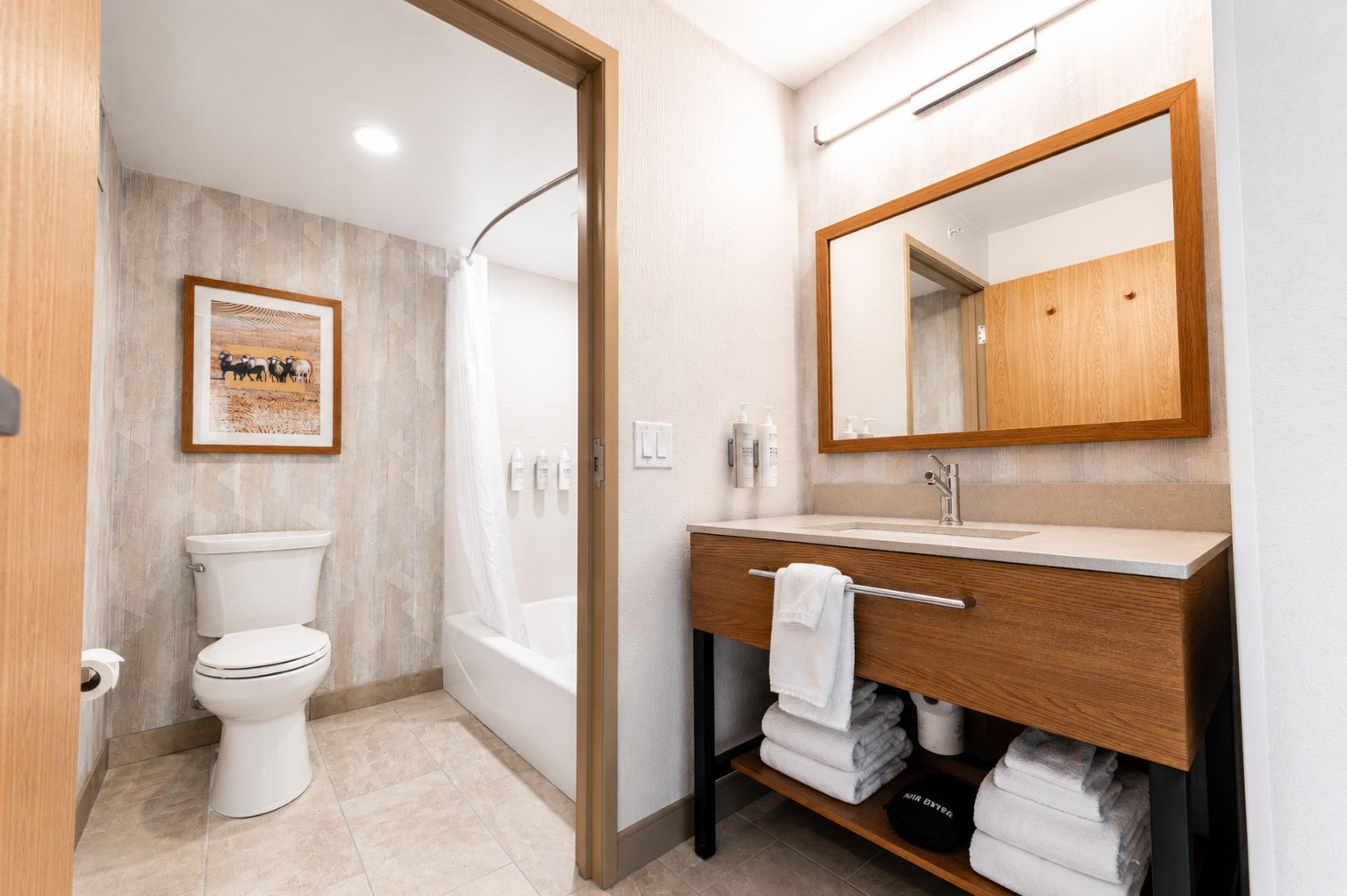 A modern bathroom with a toilet, shower, sink, and mirror.
