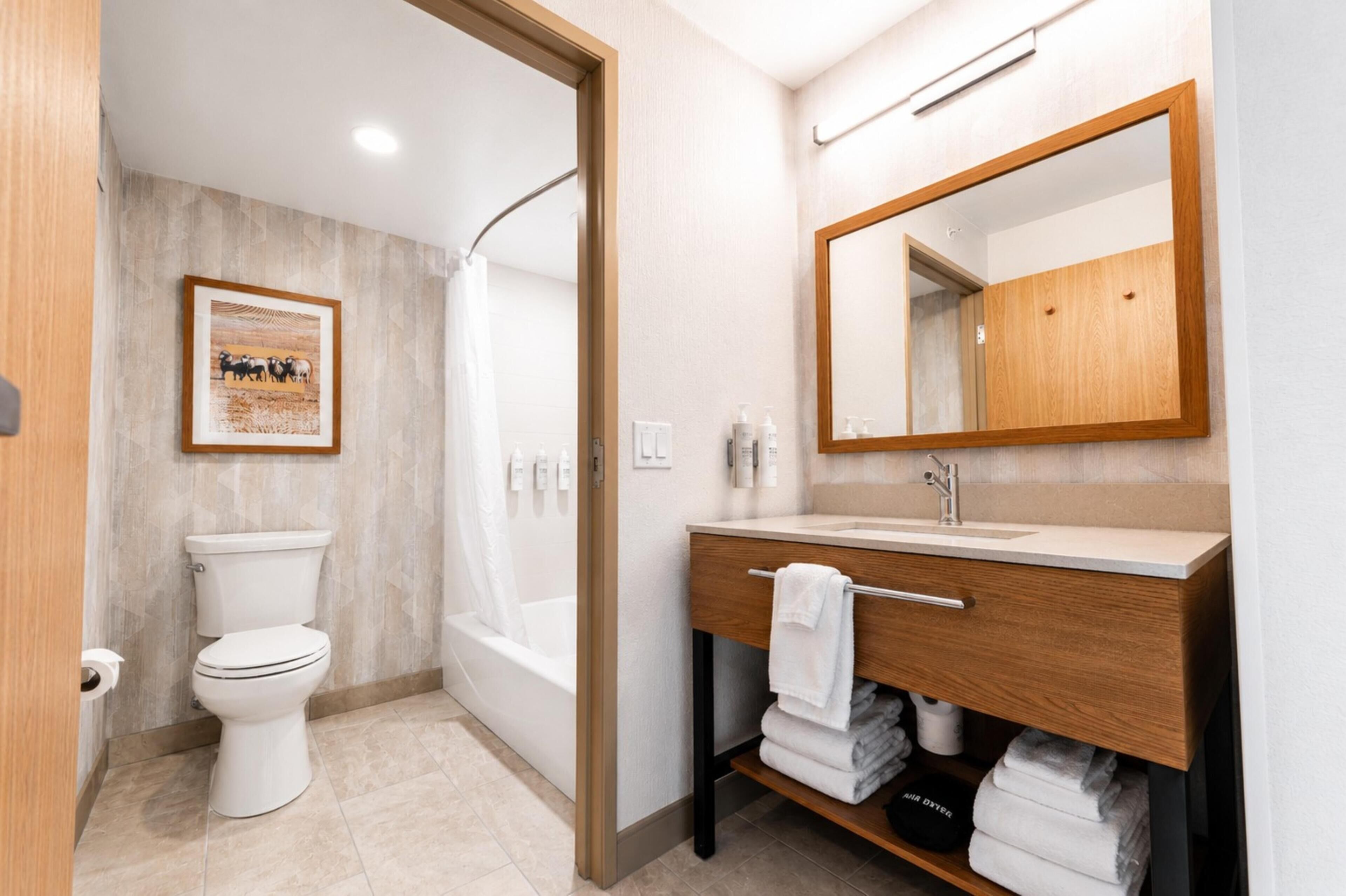 A modern bathroom with a toilet, shower, sink, and mirror.