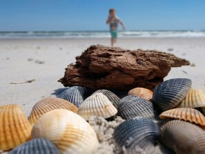 A beach scene with a pile of sand and seashells in the foreground and a person in the background.