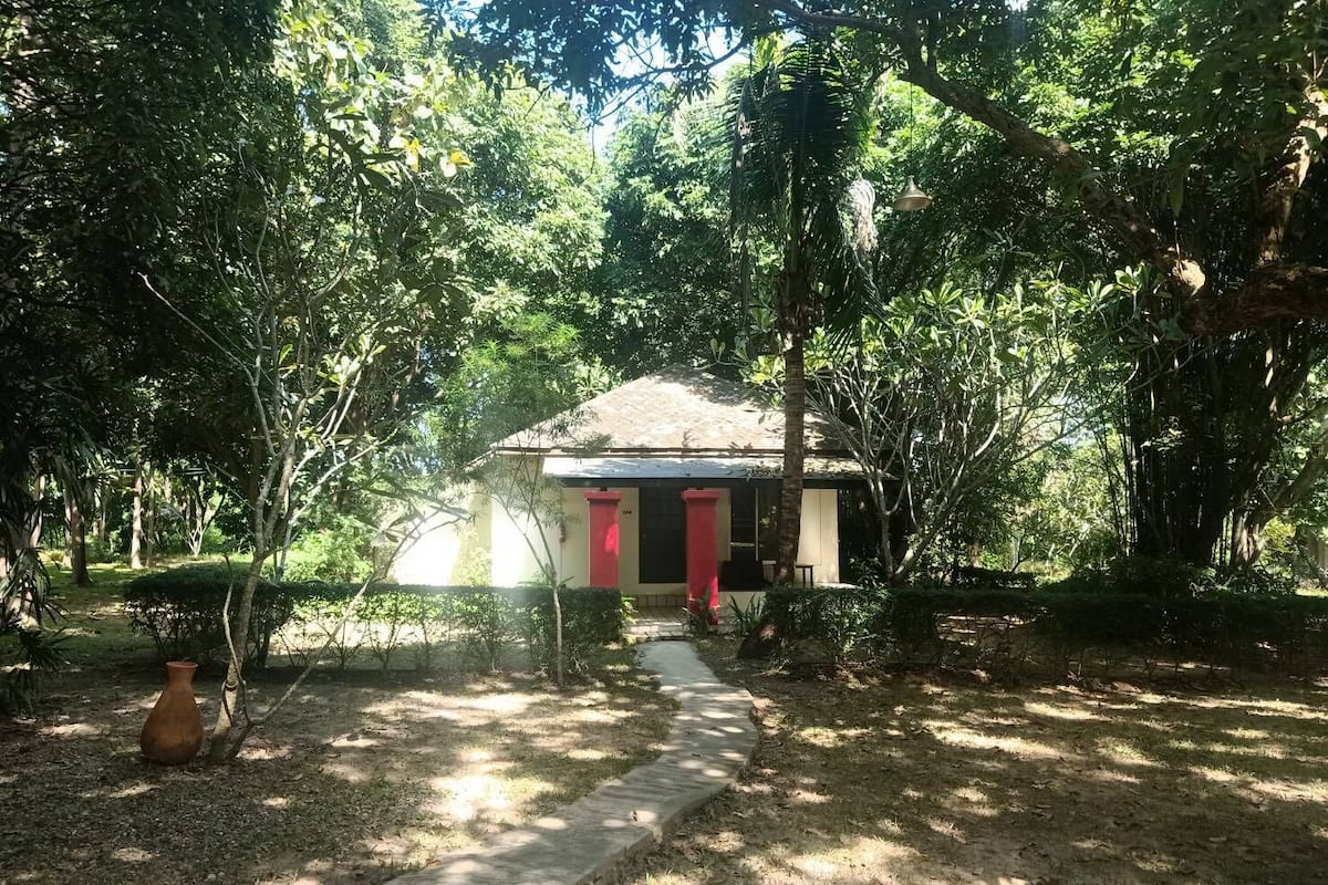 A small building with a thatched roof, surrounded by dense greenery and a concrete pathway leading to it.