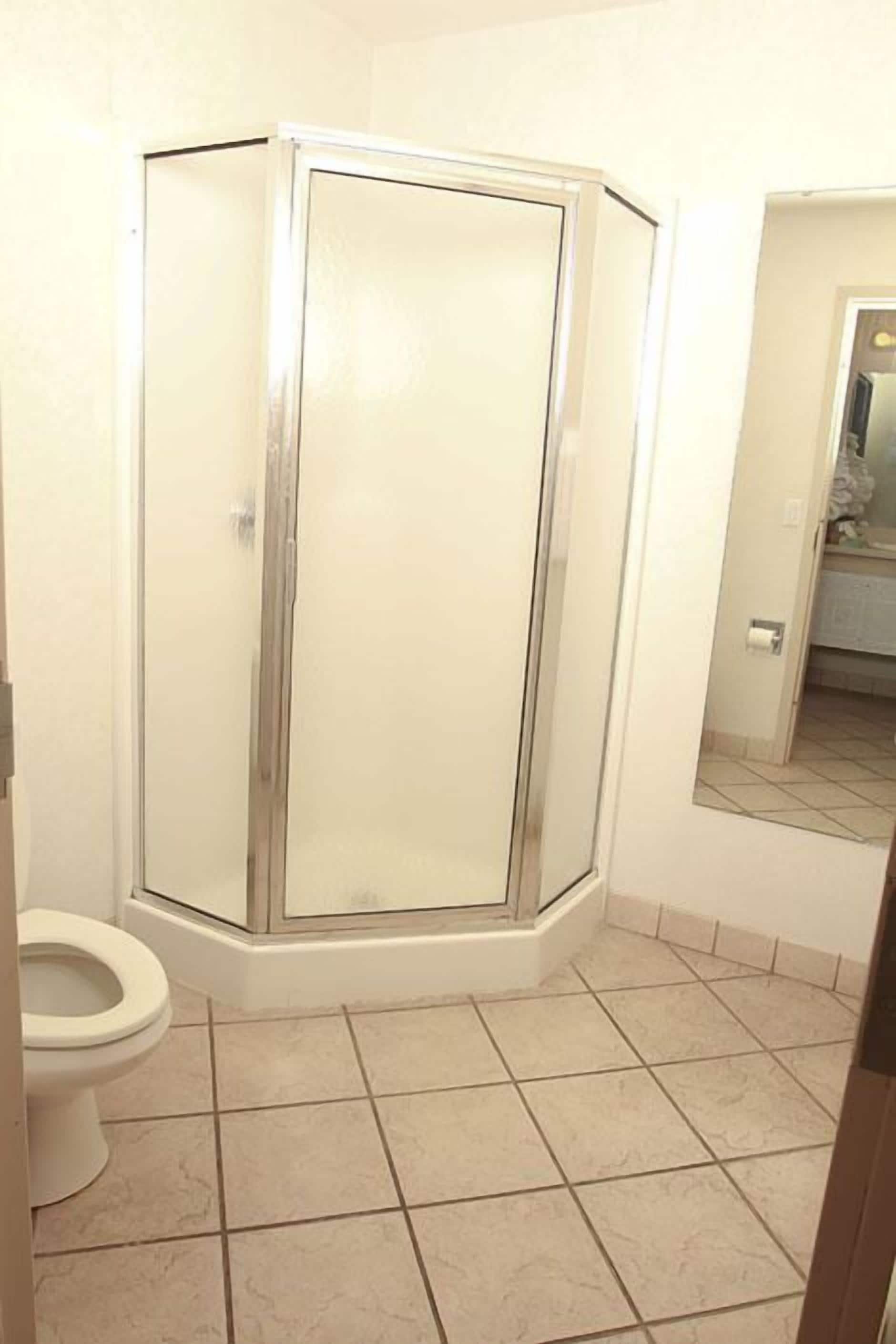 A bathroom with a shower enclosure, a toilet, and a mirror reflecting a bathroom area.
