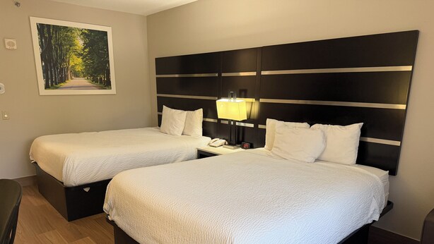 Une chambre d’hôtel avec deux lits, une table de chevet avec une lampe, un téléphone et un tableau représentant une forêt accroché au mur.