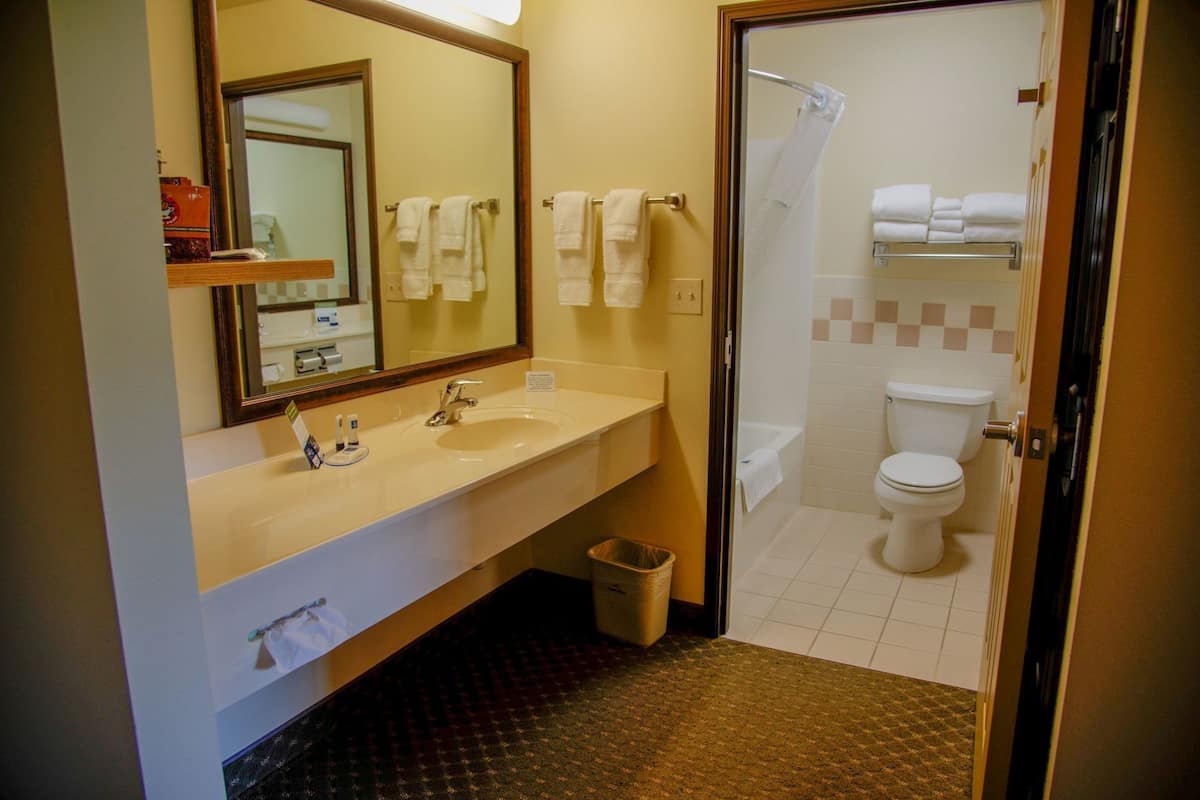 A hotel bathroom with a sink, mirror, and toilet.