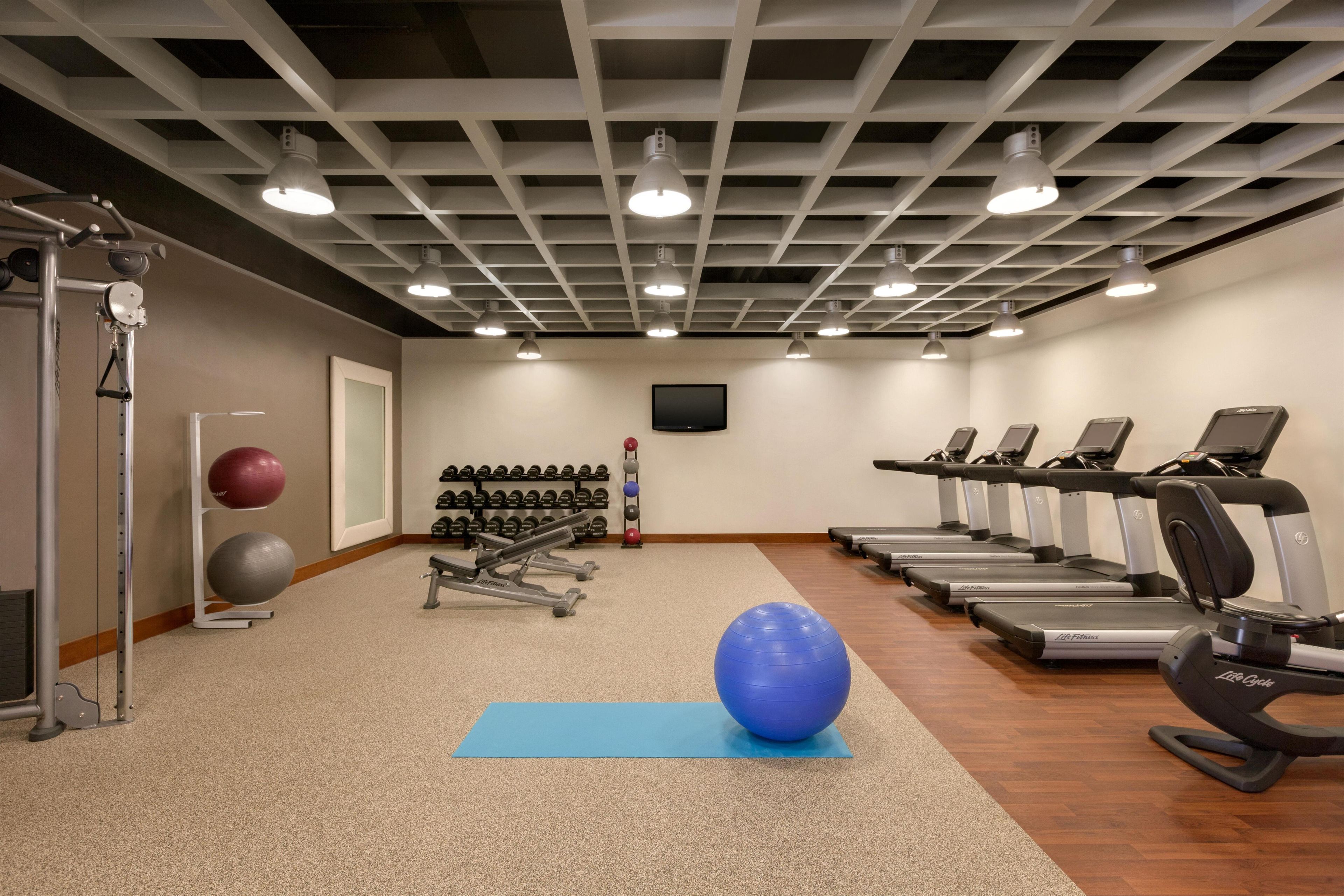 Un gimnasio con cintas de correr, pelotas de ejercicio y máquinas de pesas.