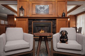 สัตว์เลี้ยงเข้าพักได้