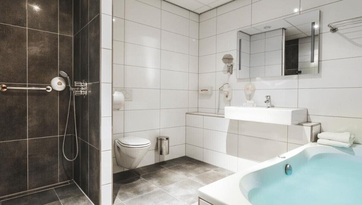 business suite | bathroom | shower, free toiletries, hair dryer, towels