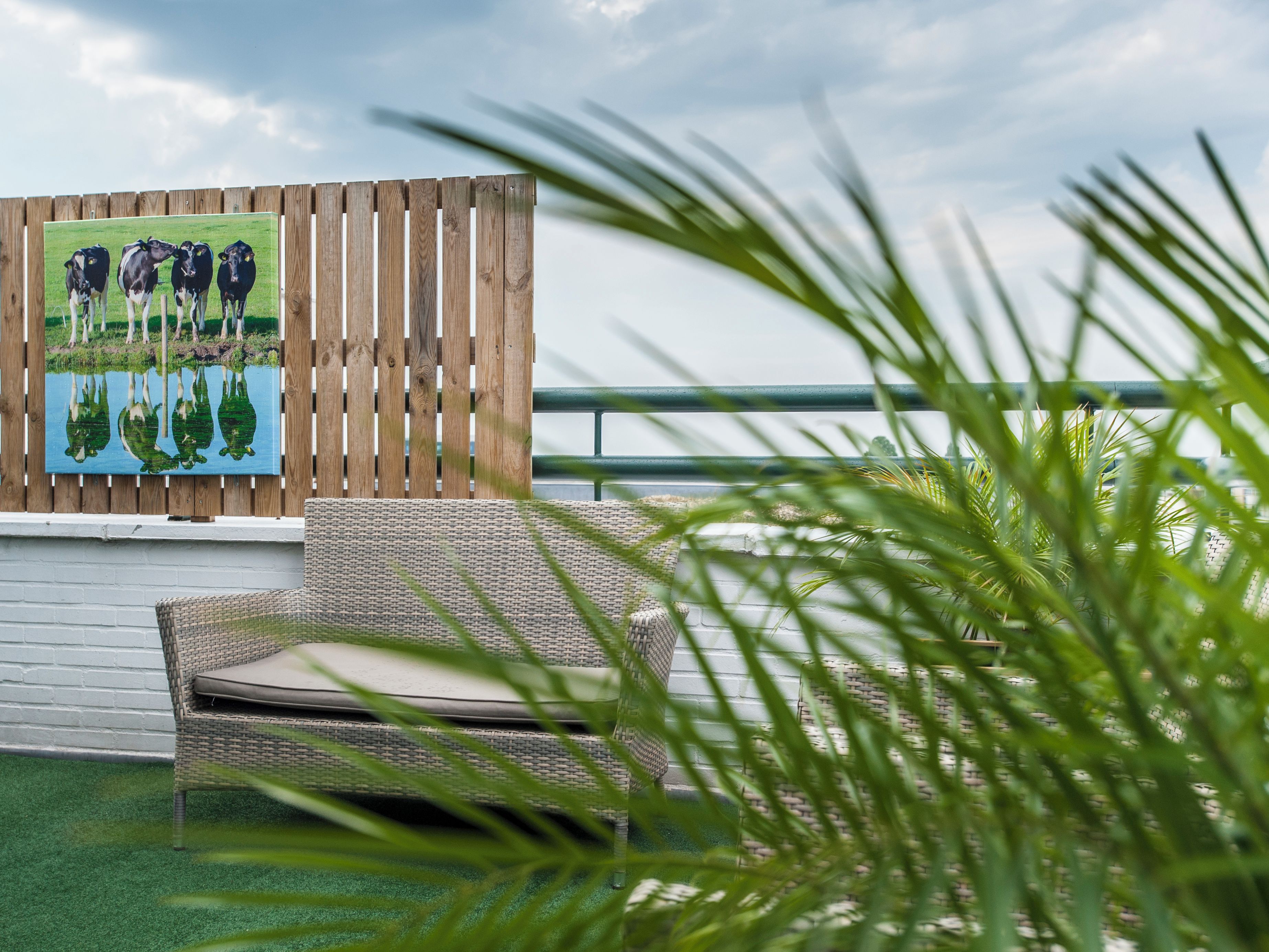 Une chaise en osier avec un coussin, posée sur une surface d’herbe artificielle verte, une clôture en bois et un tableau représentant des vaches accroché au mur.