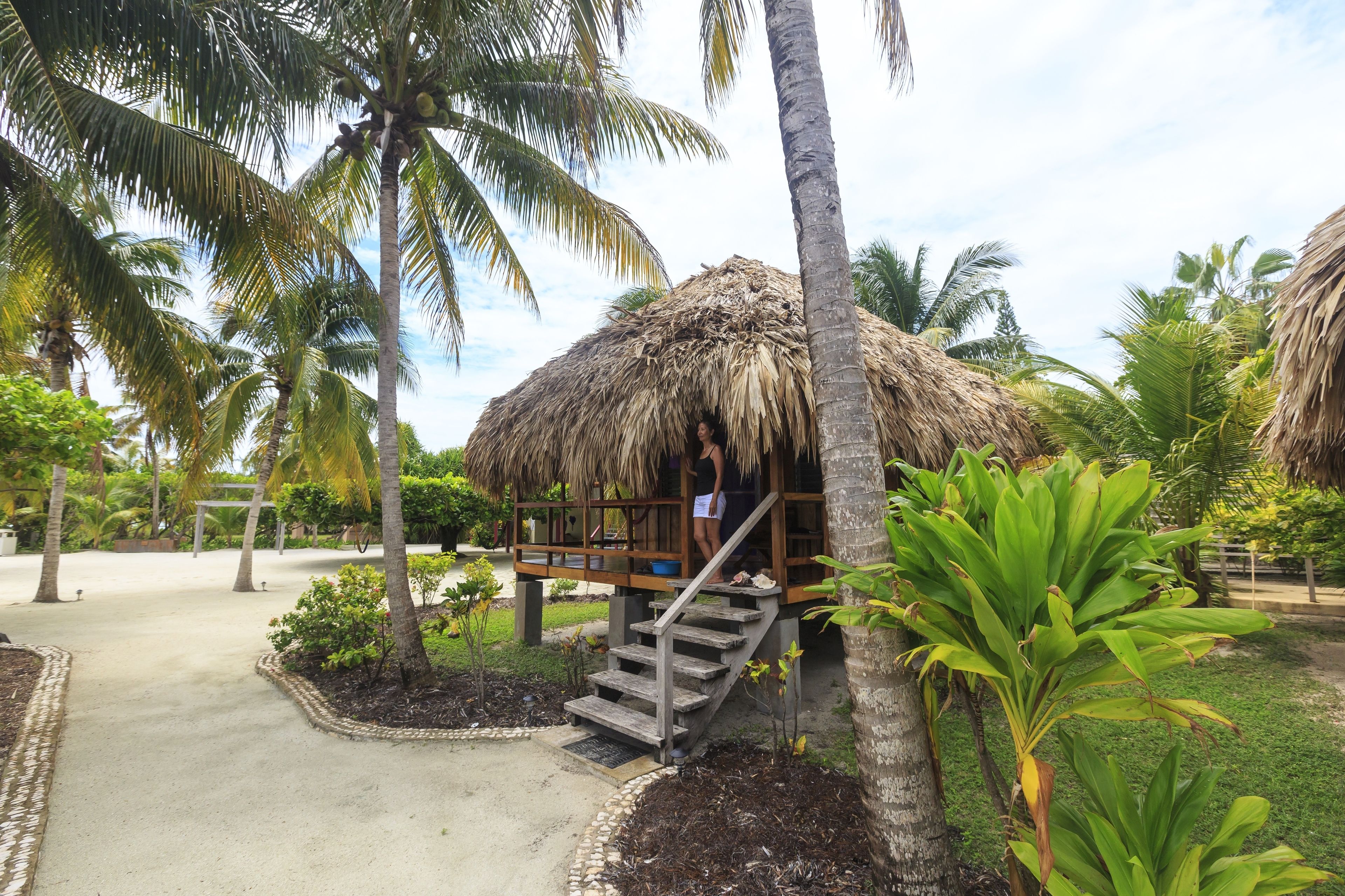 A thatched-roof hut with a wooden deck and stairs, surrounded by palm trees and tropical plants.