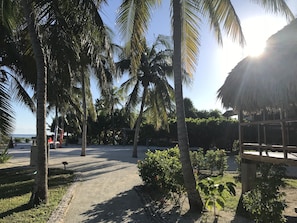 Bungalow, Oceanfront | View from room