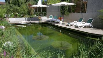 Piscina con sillones de descanso y sombrillas, rodeada de vegetación y una terraza de hormigón.