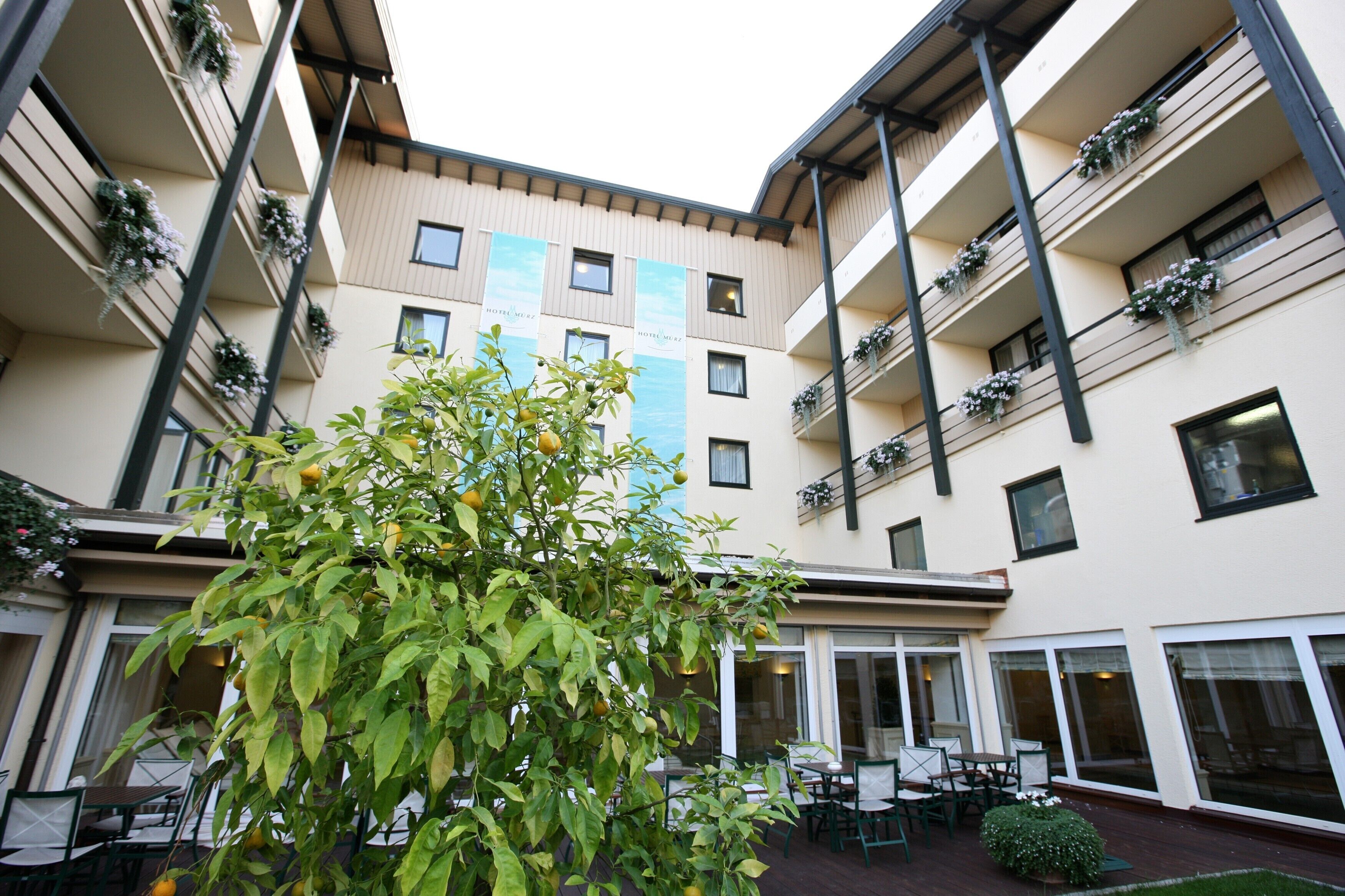 Vistas desde la habitación