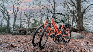 A bicycle parked on a leaf-covered ground with trees and rocks in the background.