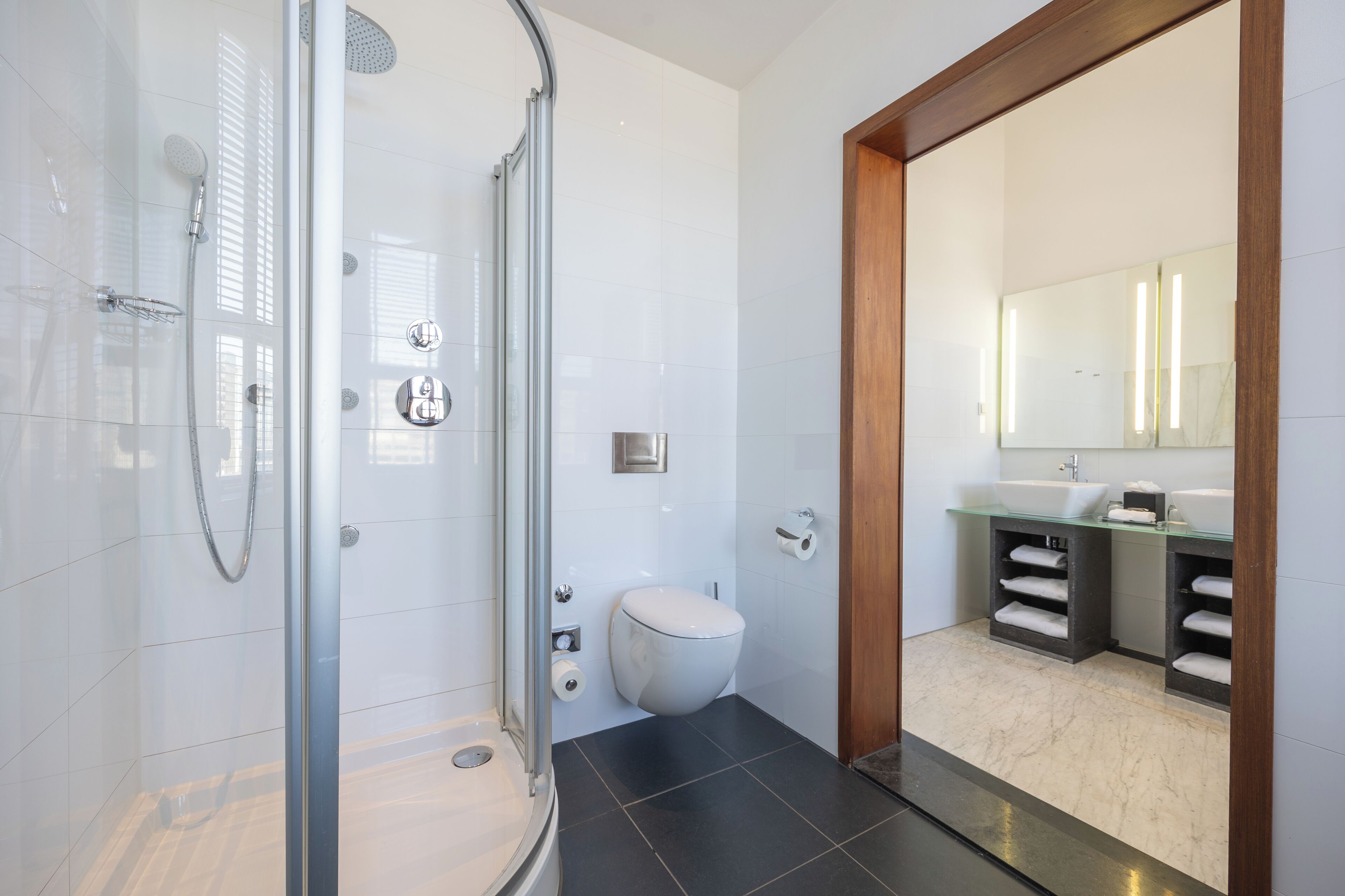 A modern bathroom with a glass-enclosed shower, a toilet, and a vanity with a mirror.
