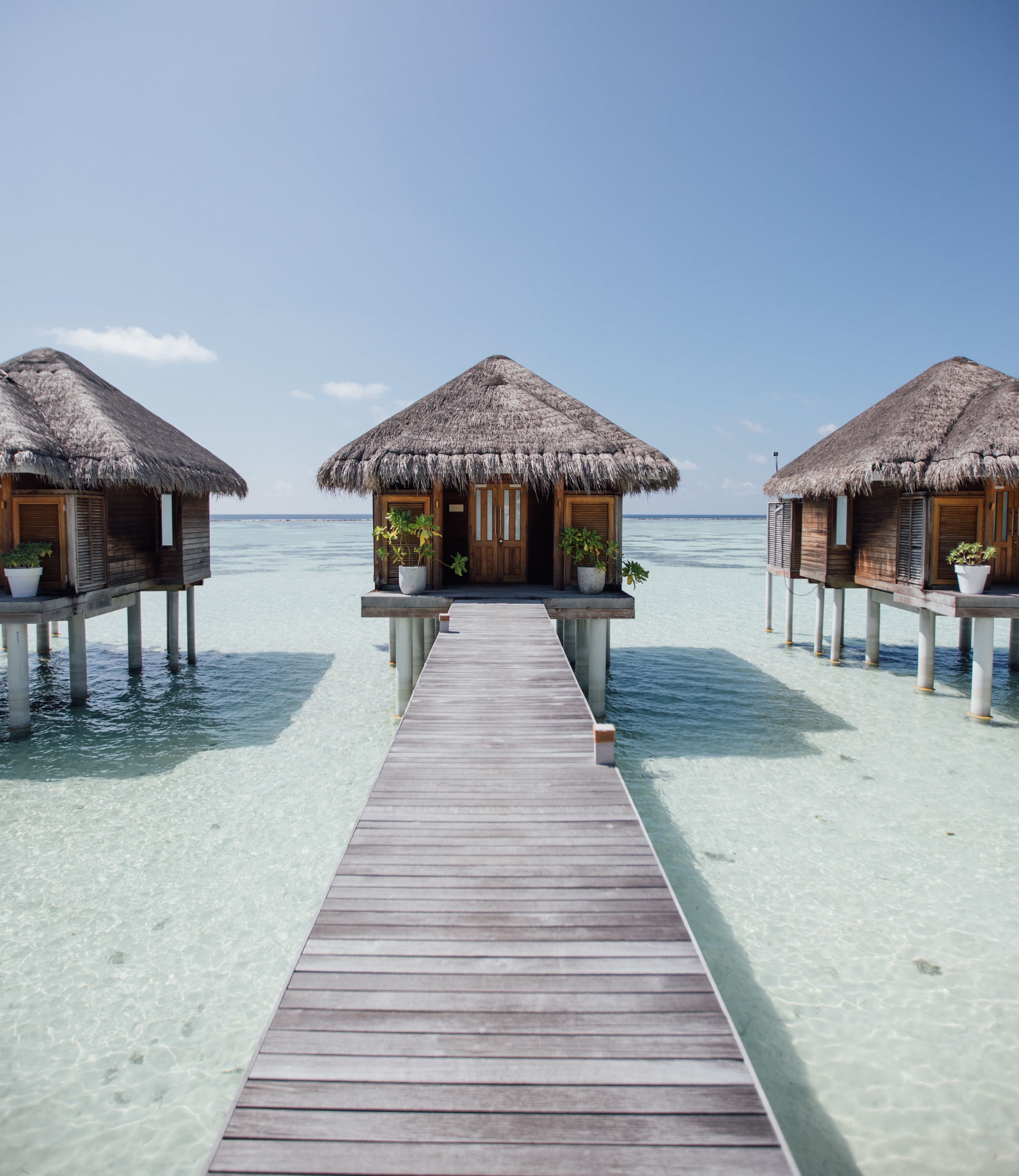 body treatments, massages on the beach, body scrubs, facials