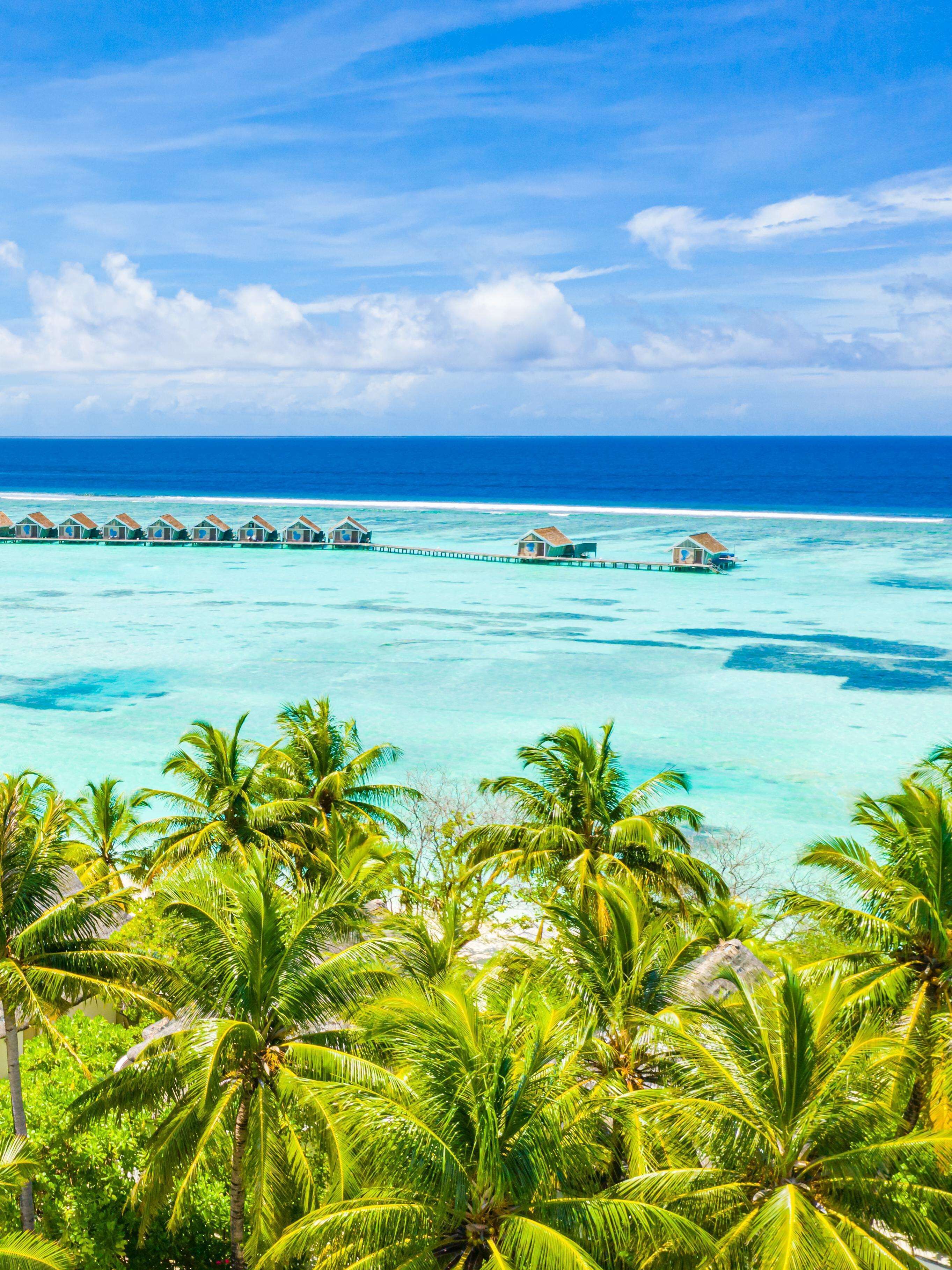 Overwater bungalows with clear turquoise water and palm trees in the foreground.