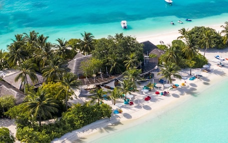 An aerial view of a beach with a wooden pier, clear turquoise waters, and palm trees.