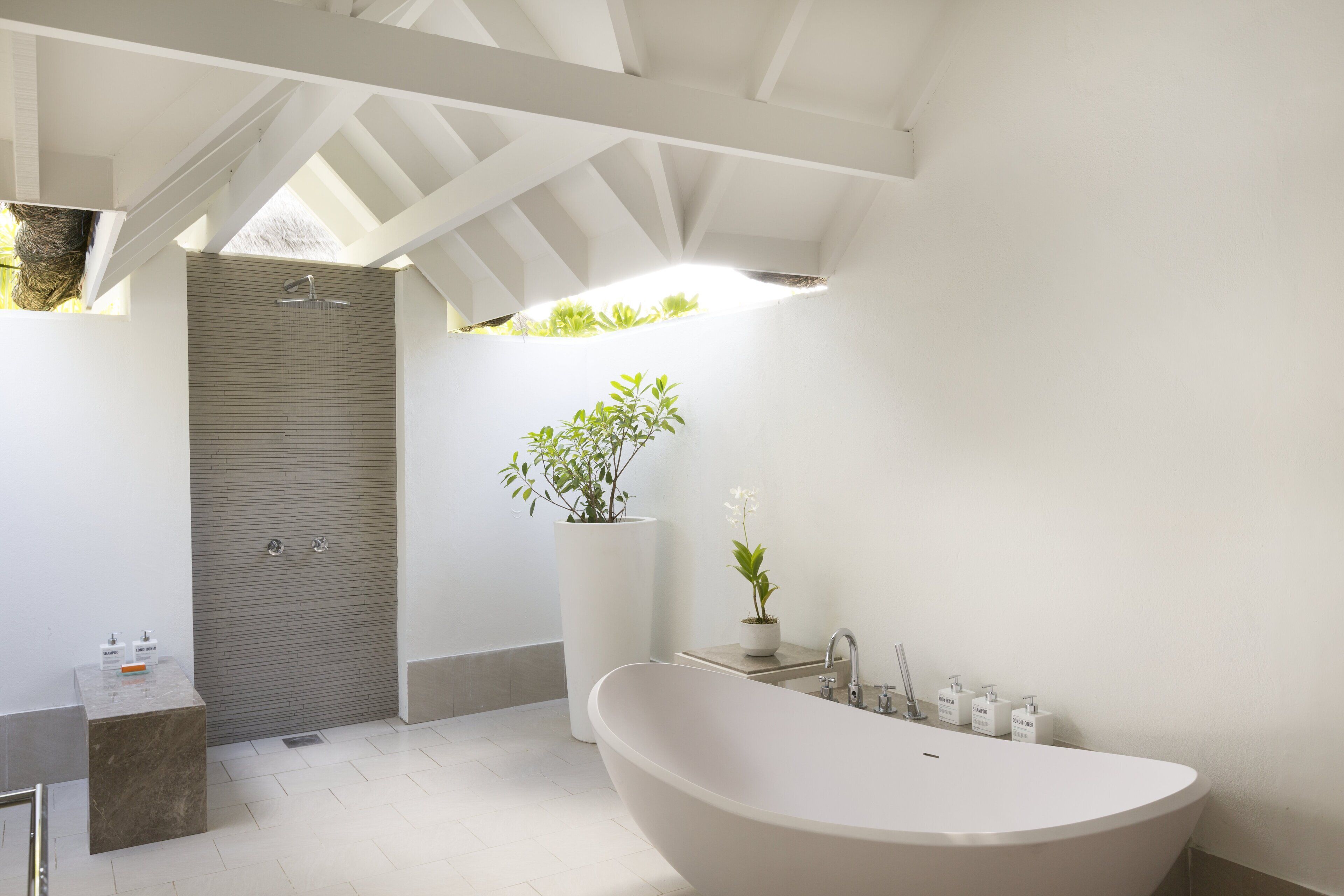 A modern bathroom with a freestanding bathtub, a shower enclosure, and a potted plant.