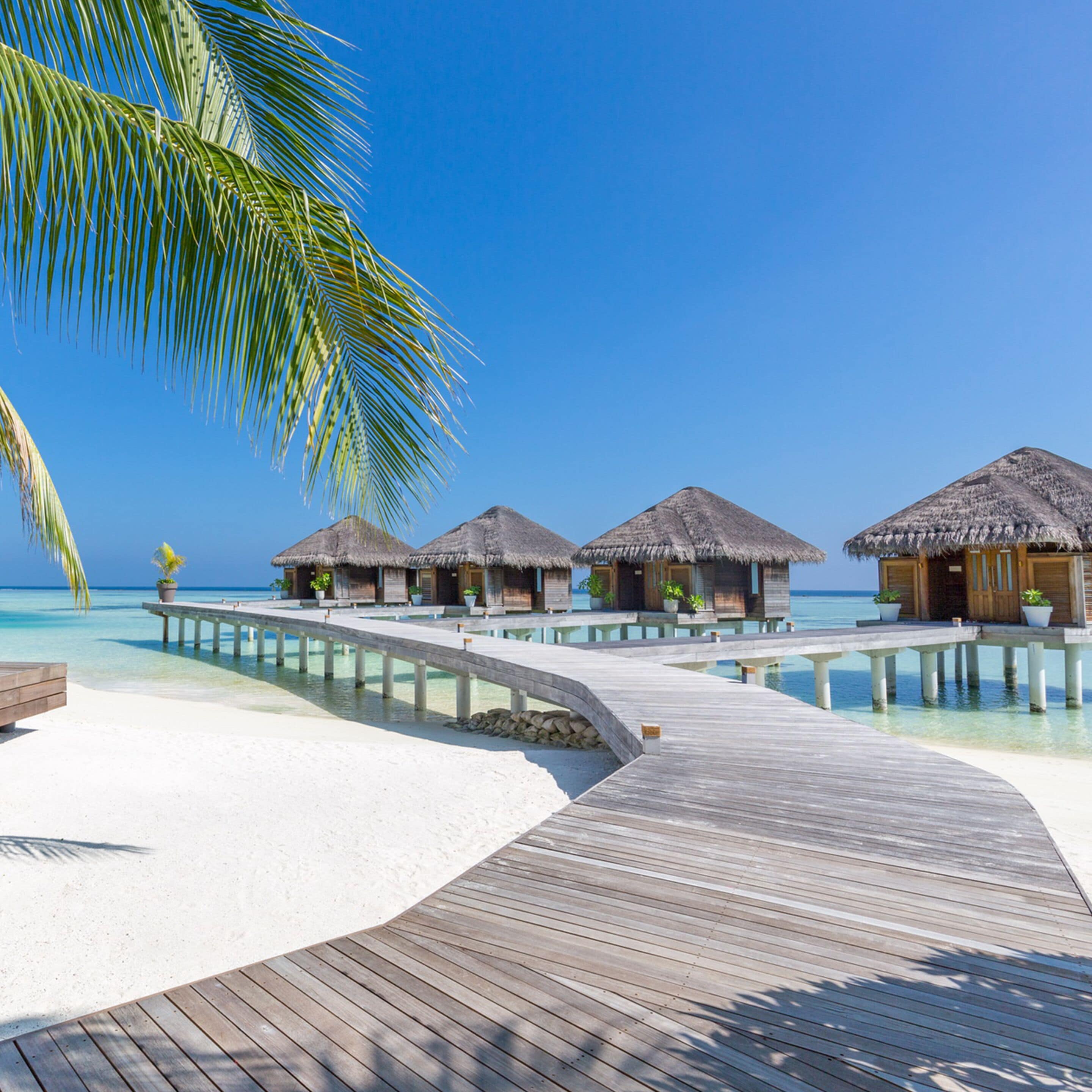 A wooden pathway leading to overwater bungalows with thatched roofs, surrounded by clear blue water and a palm tree.