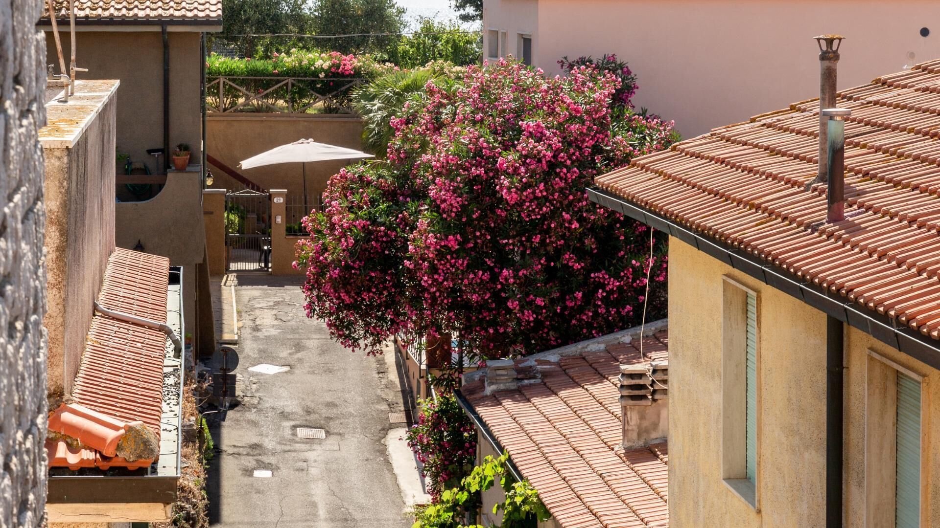 Un quartier résidentiel avec une rue, un arbre à fleurs roses et des bâtiments aux toits recouverts de tuiles.