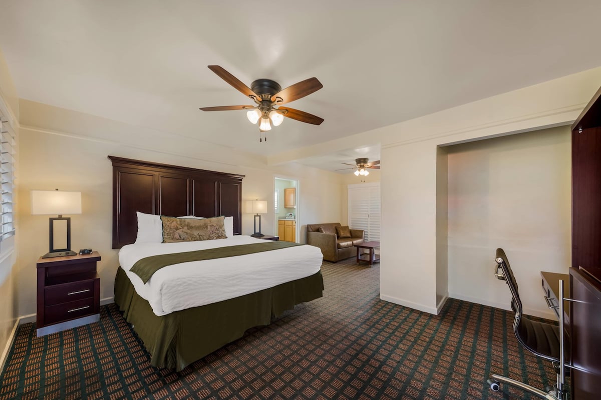 A hotel room with a bed, a ceiling fan, a desk with a lamp, a chair, and a bathroom with a shower.