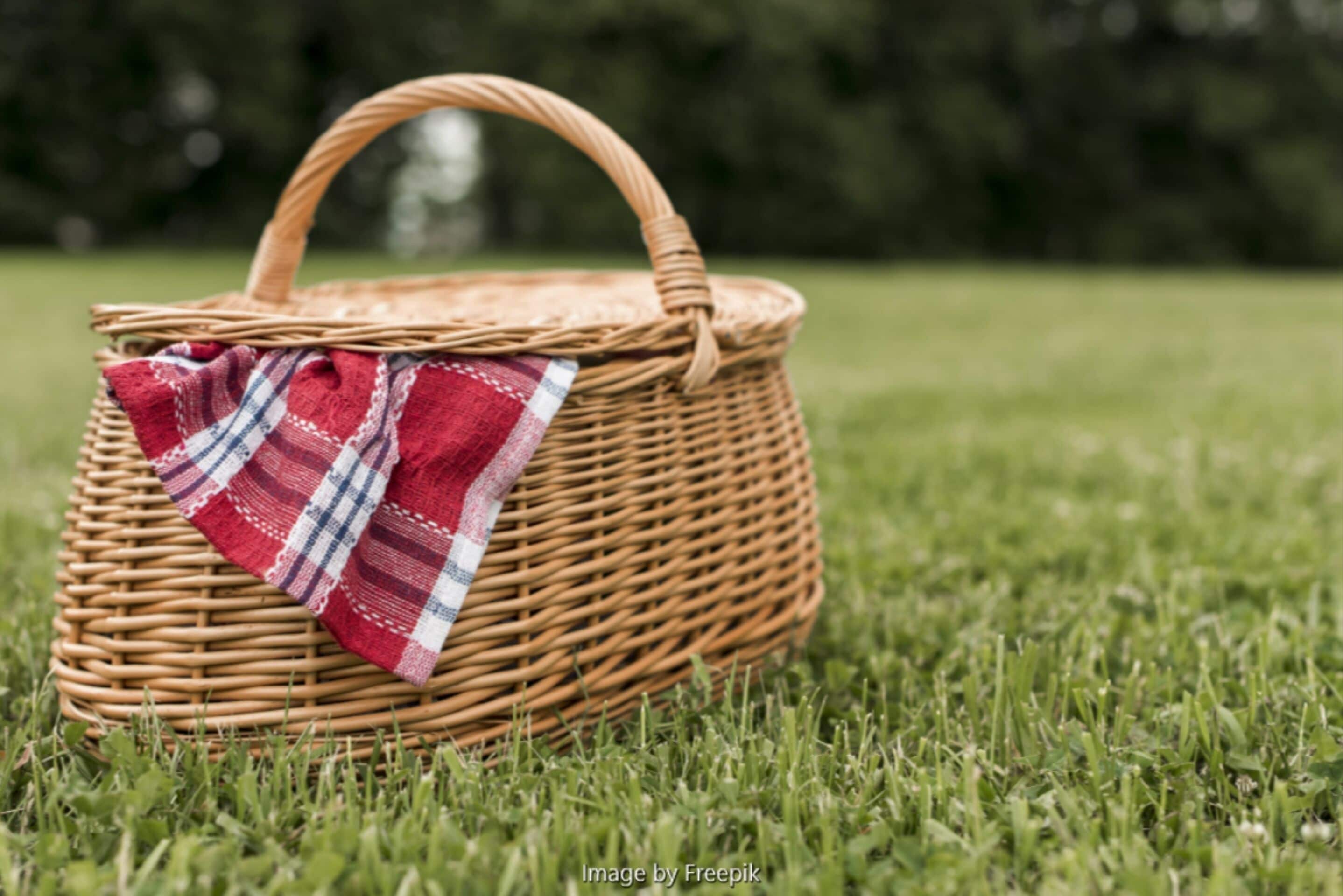 A wicker picnic basket with a plaid cloth on a grassy field.