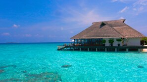 4 restaurants, breakfast, lunch, dinner served; international cuisine - Adaaran Prestige Water Villas (Meedhupparu)