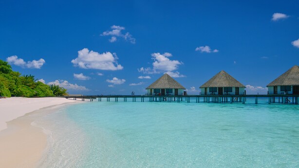 Bungalows sobre el agua con techos de paja, una playa de arena blanca y agua turquesa cristalina.