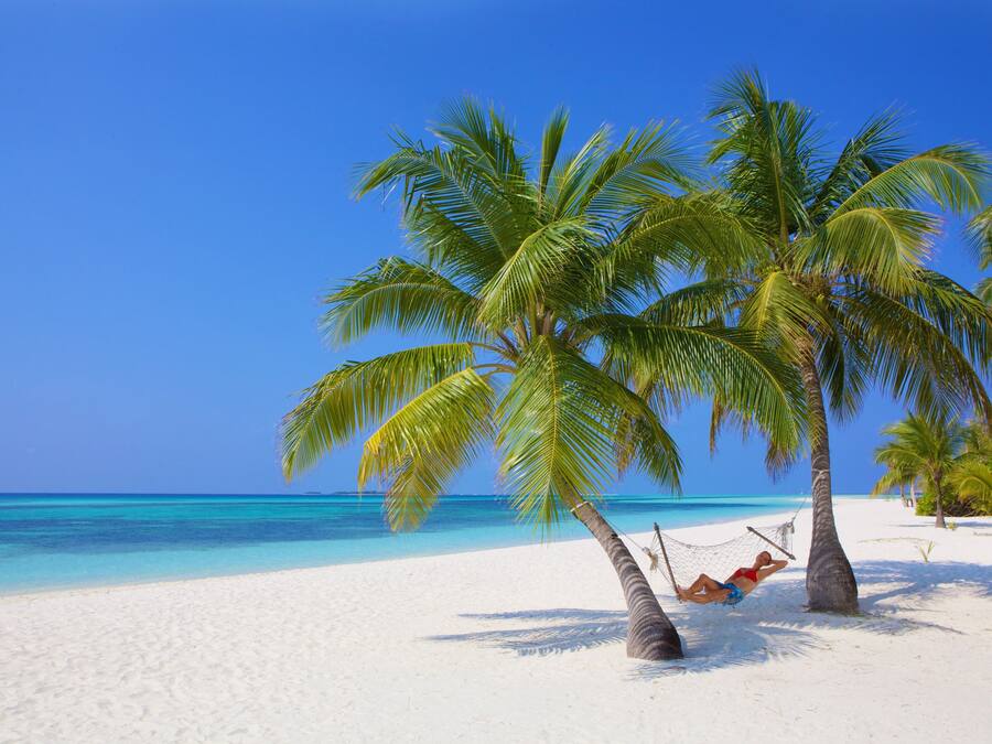 الإطلالة من المنشأة