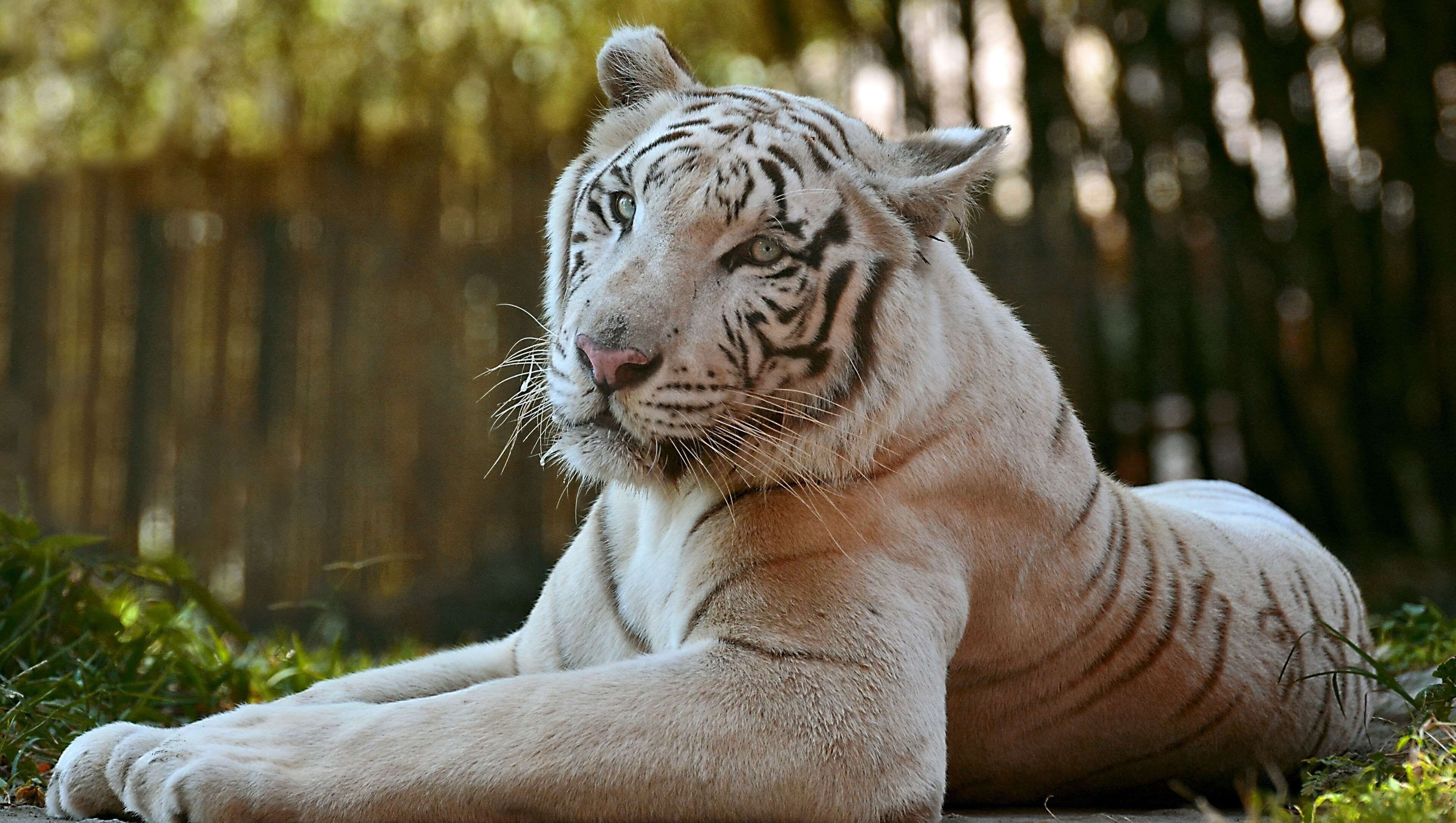 Photo - Magnuson Hotel Little Rock South