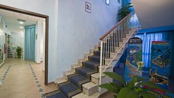 Un escalier dont les marches sont recouvertes d’une moquette bleue, menant à un palier ; un mur bleu orné d’une affiche et une plante sur le palier.